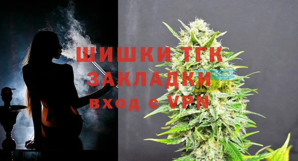 крисы Кулебаки