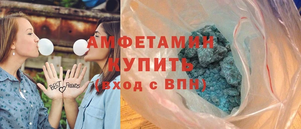 крисы Кулебаки