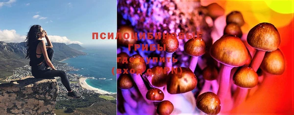 мескалин Коряжма