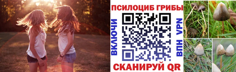 Галлюциногенные грибы Psilocybine cubensis  Иноземцево 